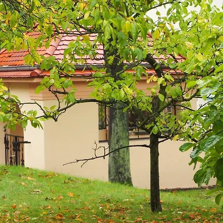 Smag Obere Burgstrasse Διαμέρισμα